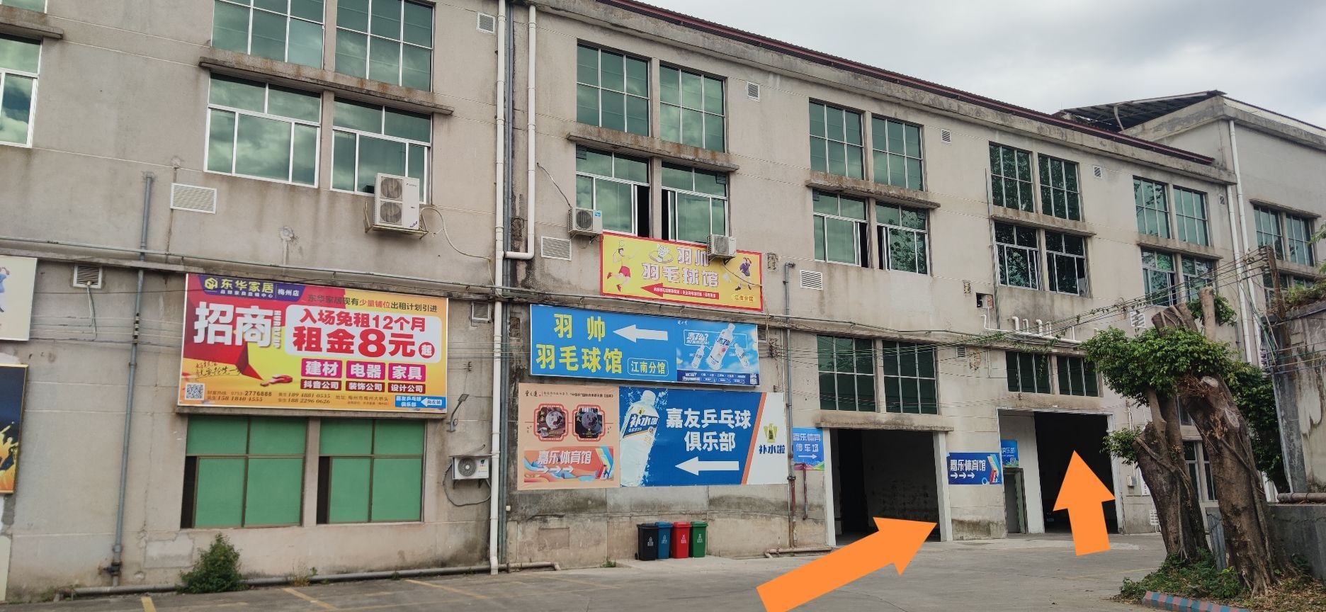 赂册嘉乐姐体育