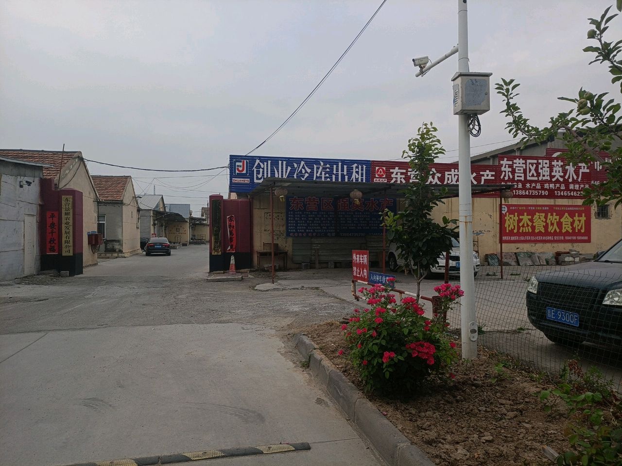 东营区强英水产
