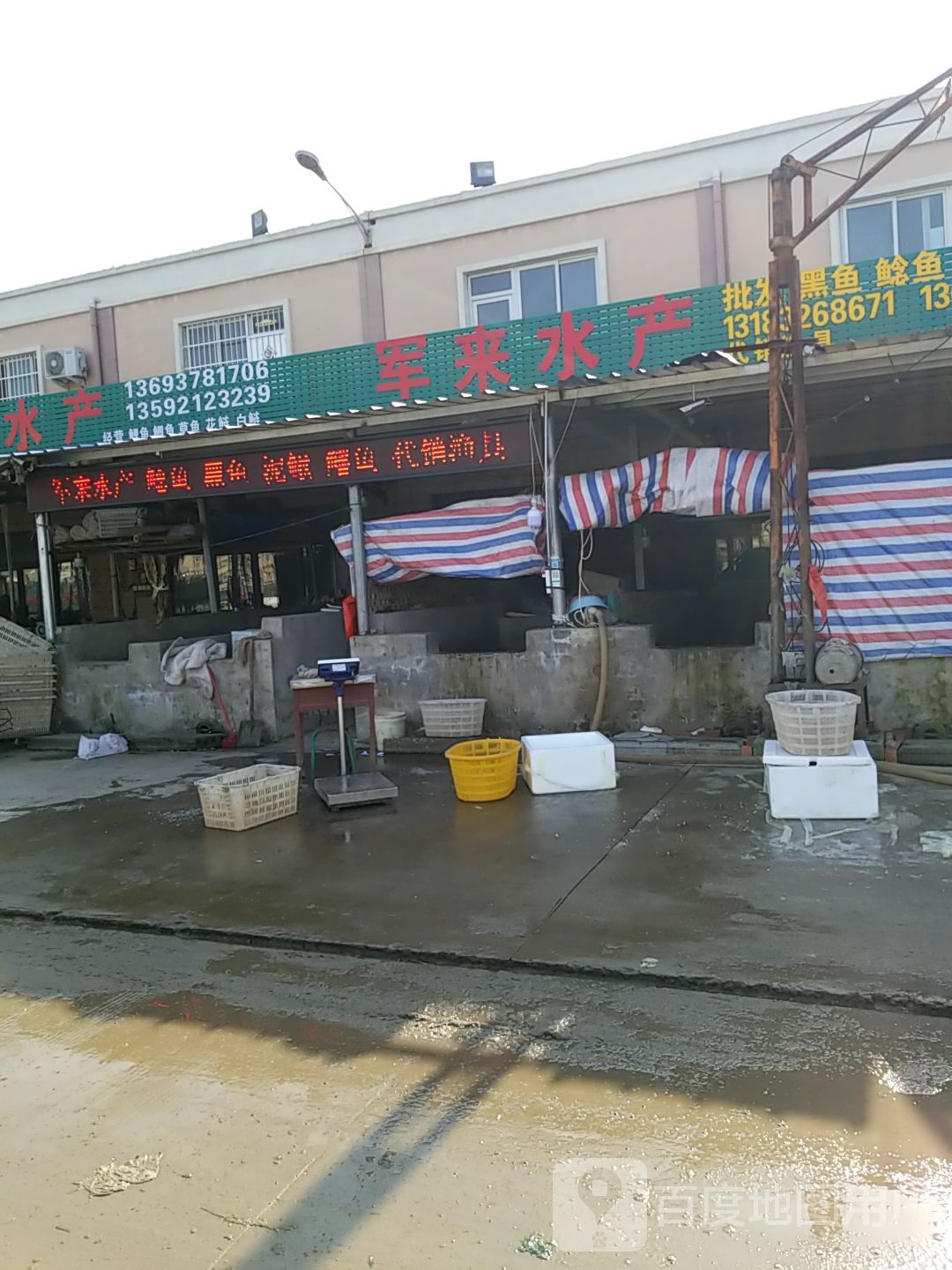 小宁水产