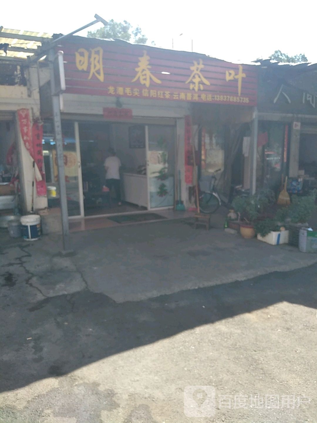 明春茶叶