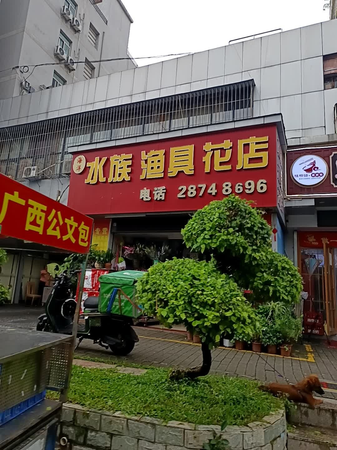 海洋花店水族渔具