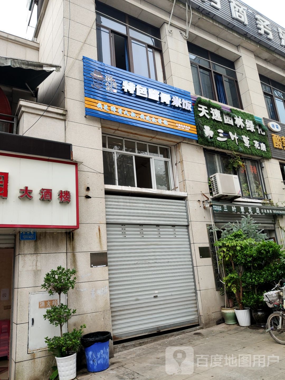 天速园林绿化三叶草花店