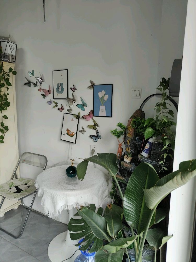 香谢里鲜花