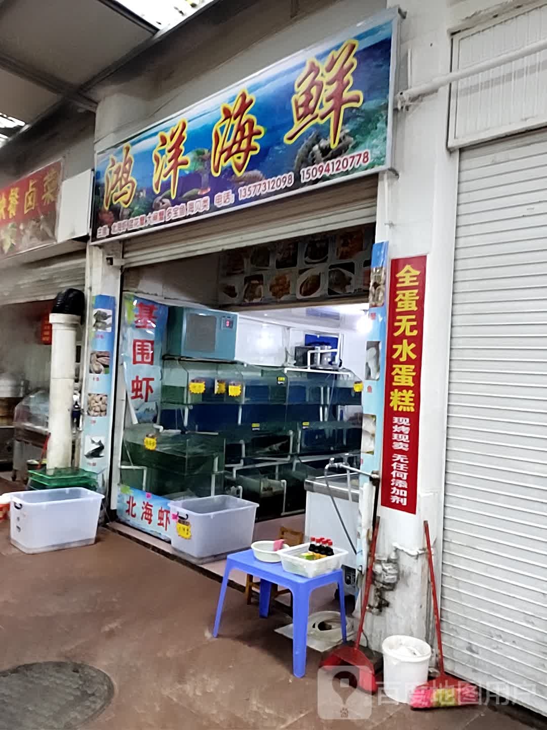 鸿洋海先