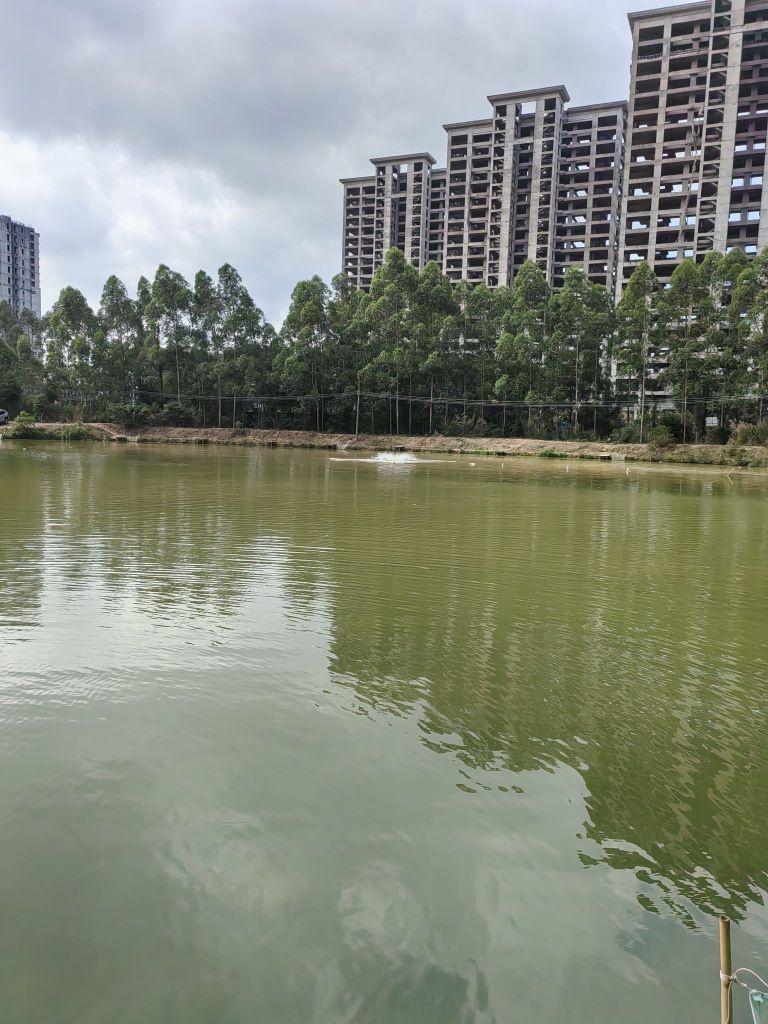 小明钓鱼场