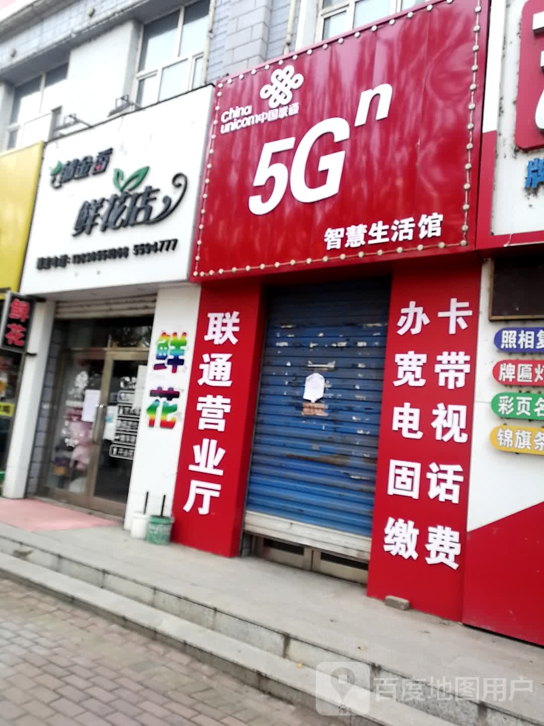 郁金香鲜花店