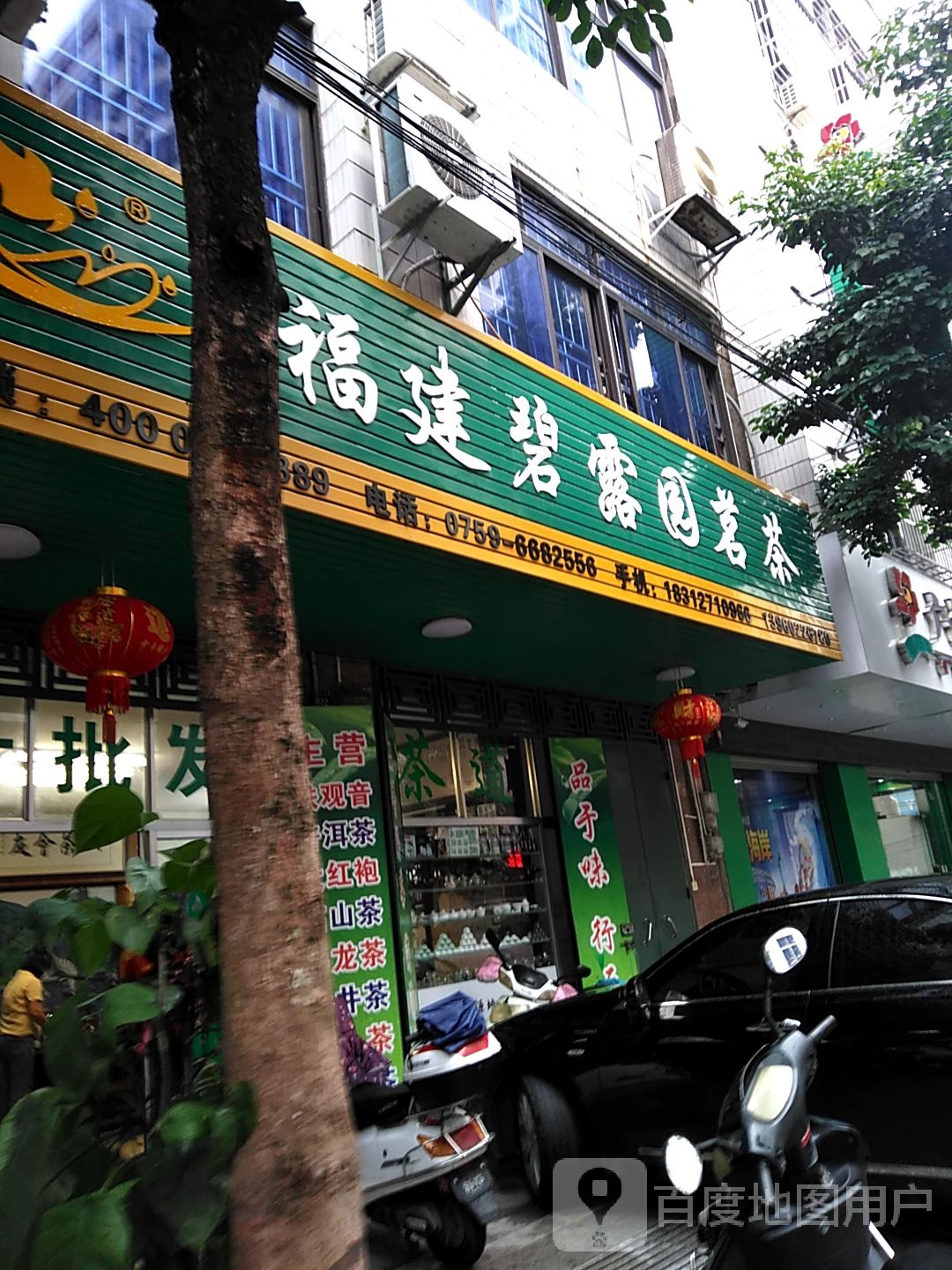 福建碧露园茗茶