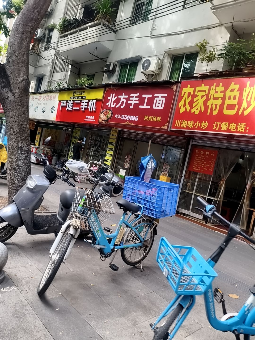 北方手工面