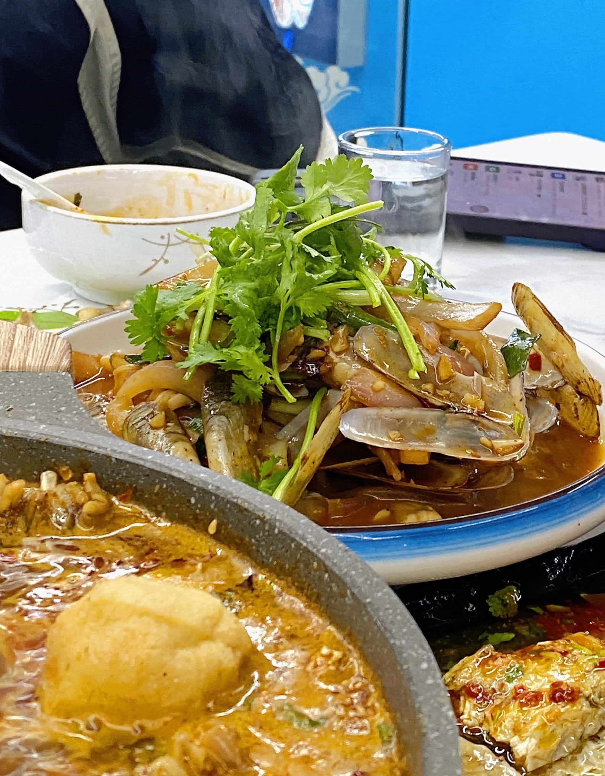 海螺风暴(天馨花园店)