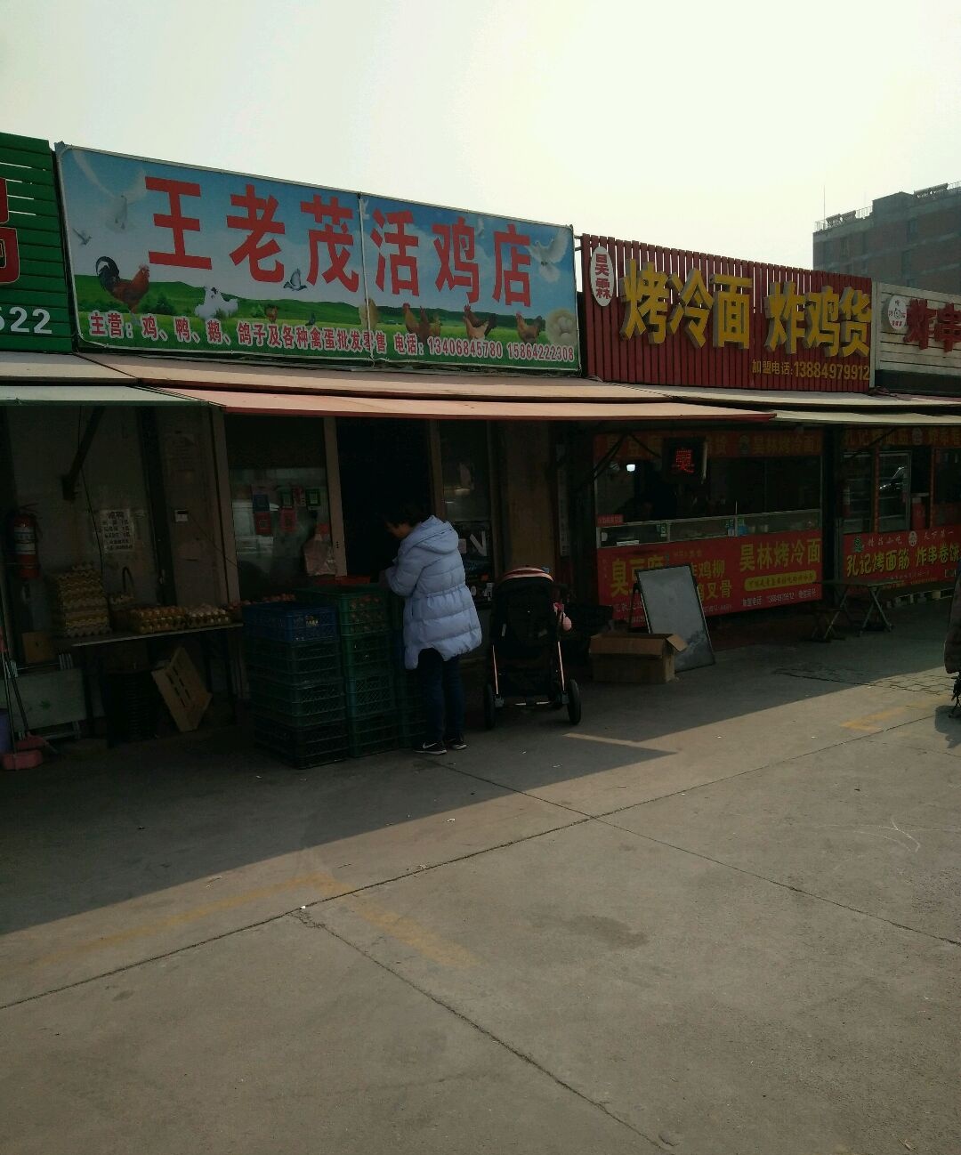 王老茂活鸡店