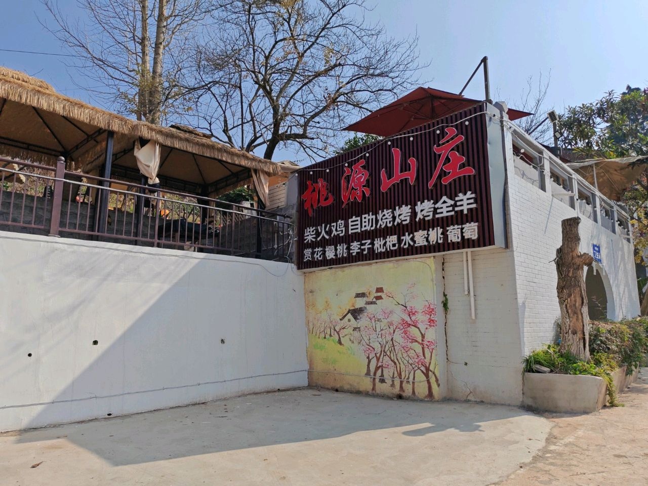 桃源山庄·水蜜桃采摘·柴火鸡·烧烤团建(龙泉山店)