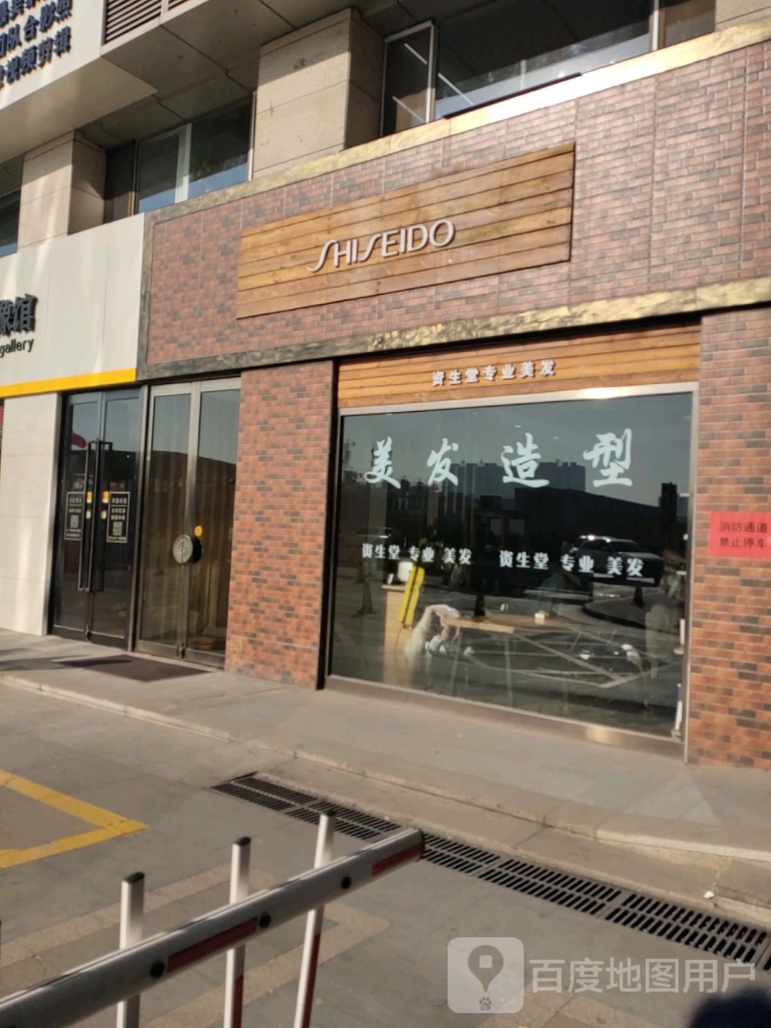 资生堂专业没法
