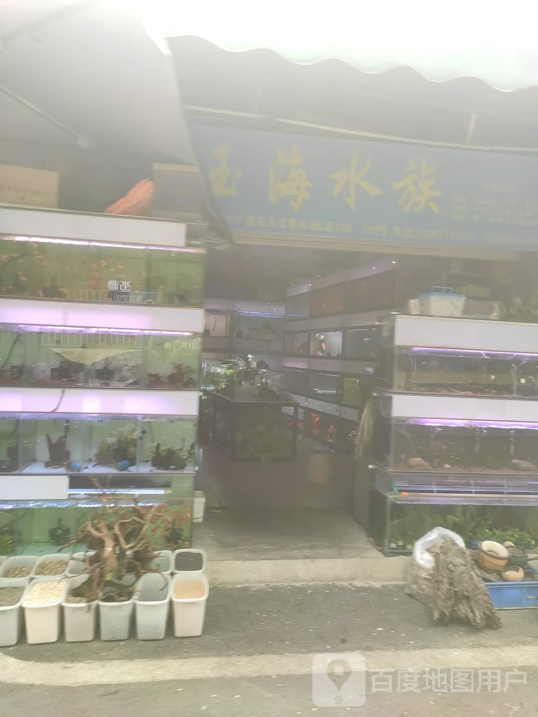 玉海水族(花鸟市场店)