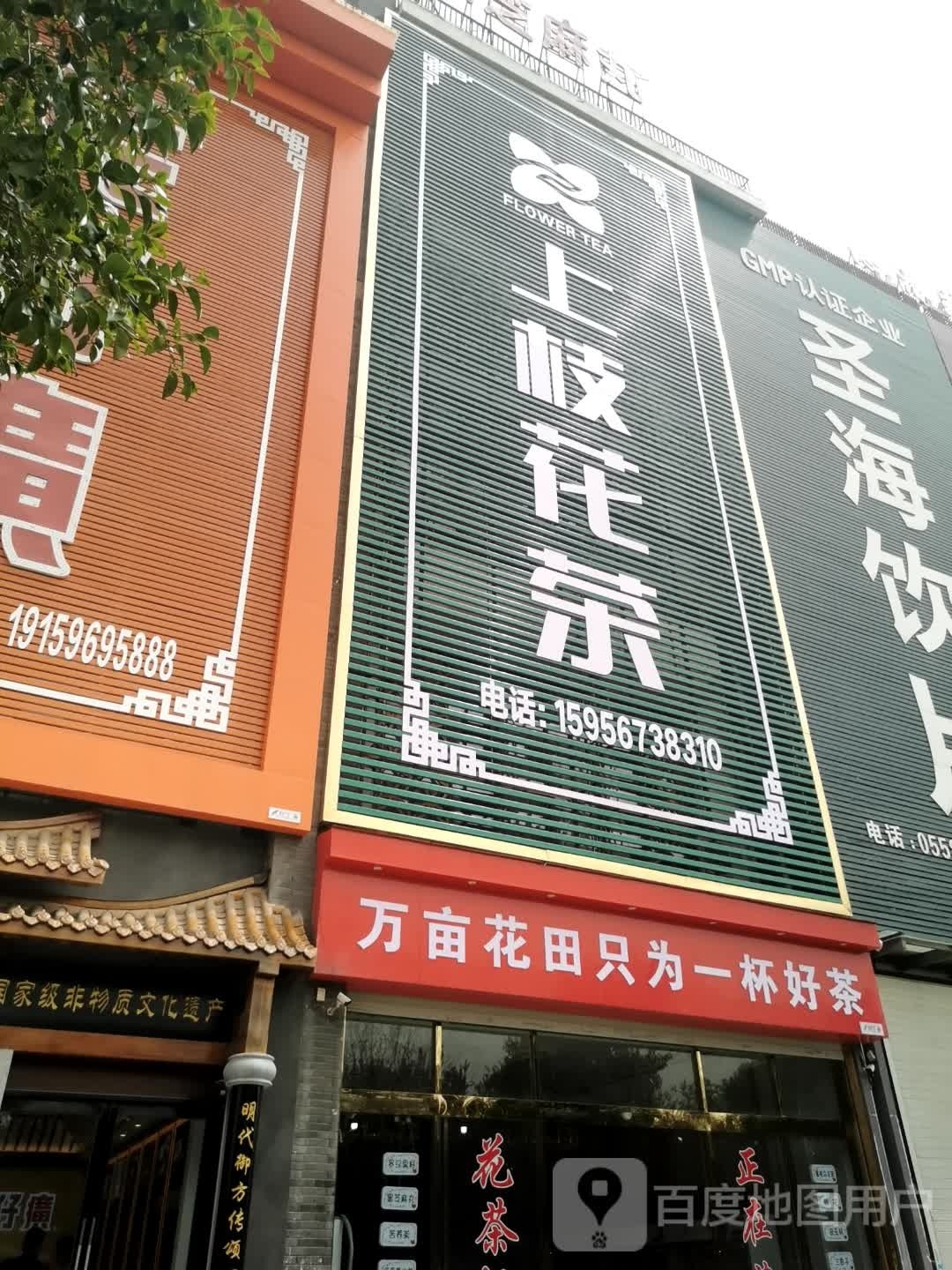 上枝花茶
