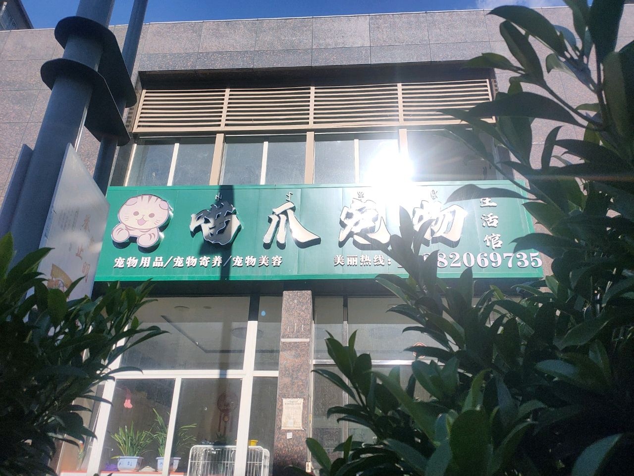喵爪宠物生活馆