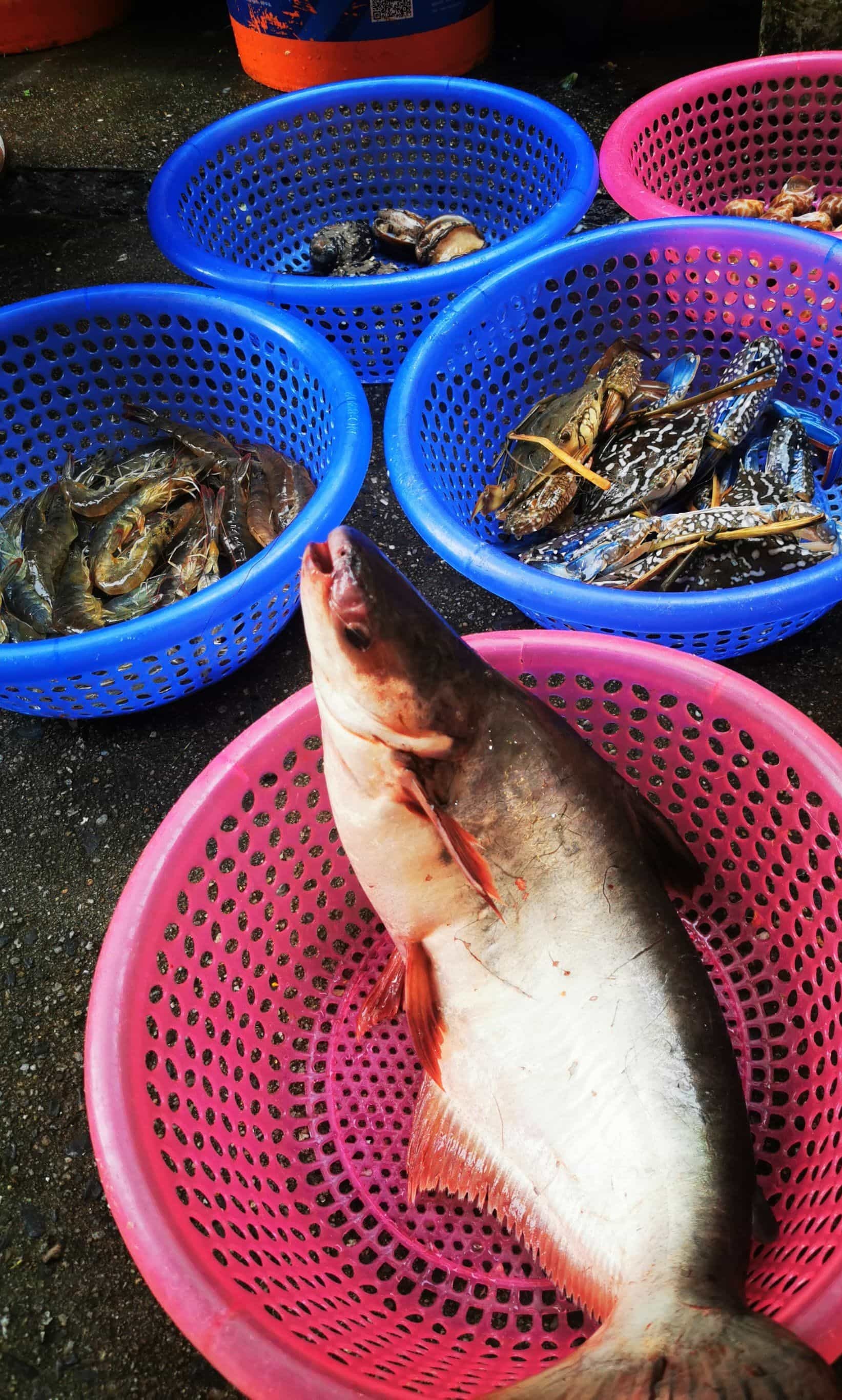 周记海鲜加工(升平街店)