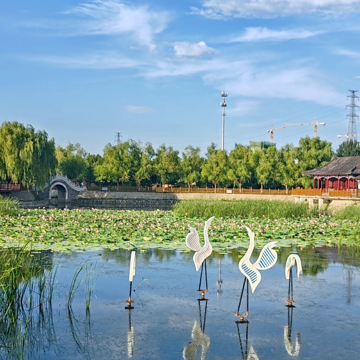 雁翎公园