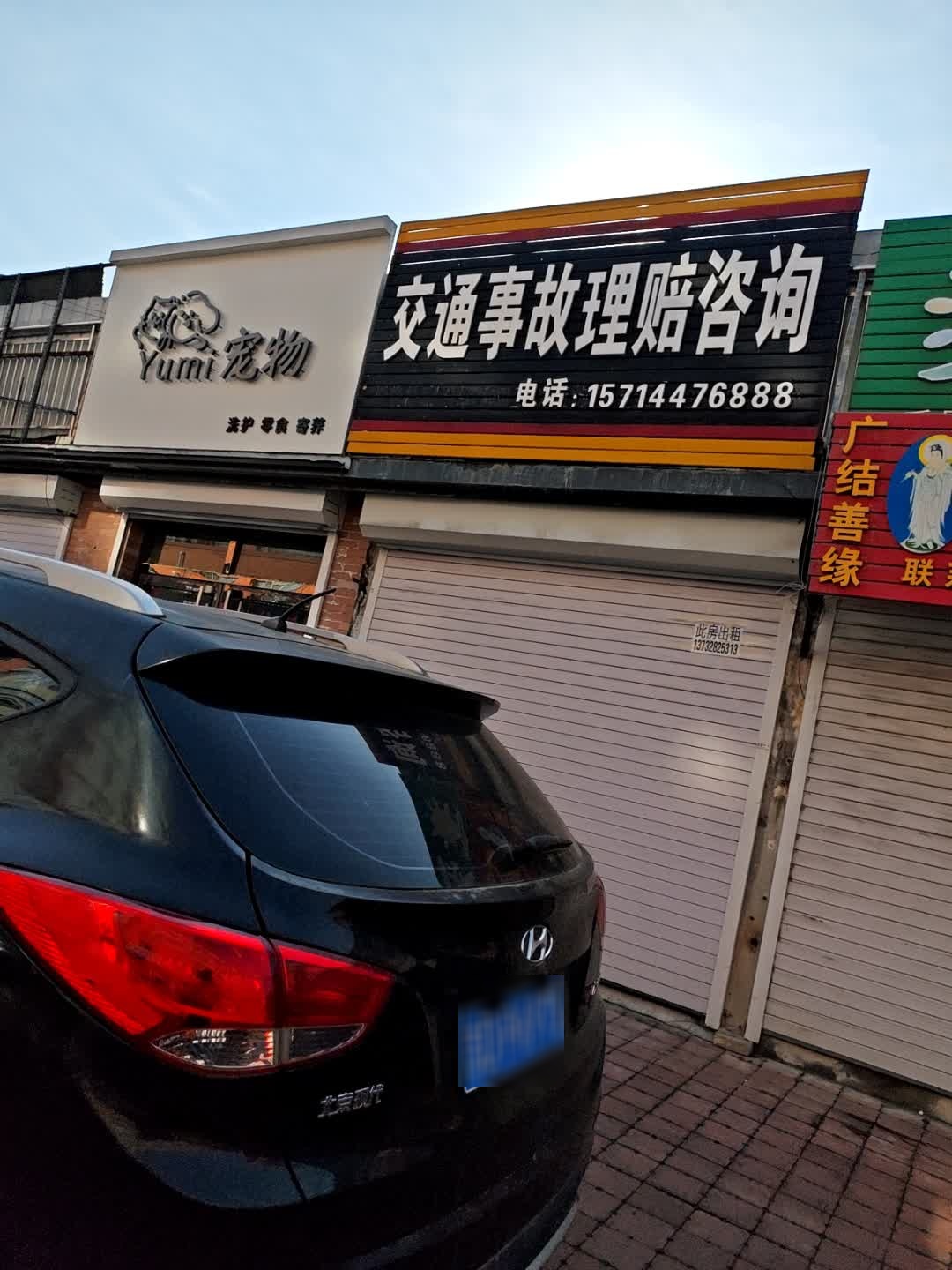 宠物