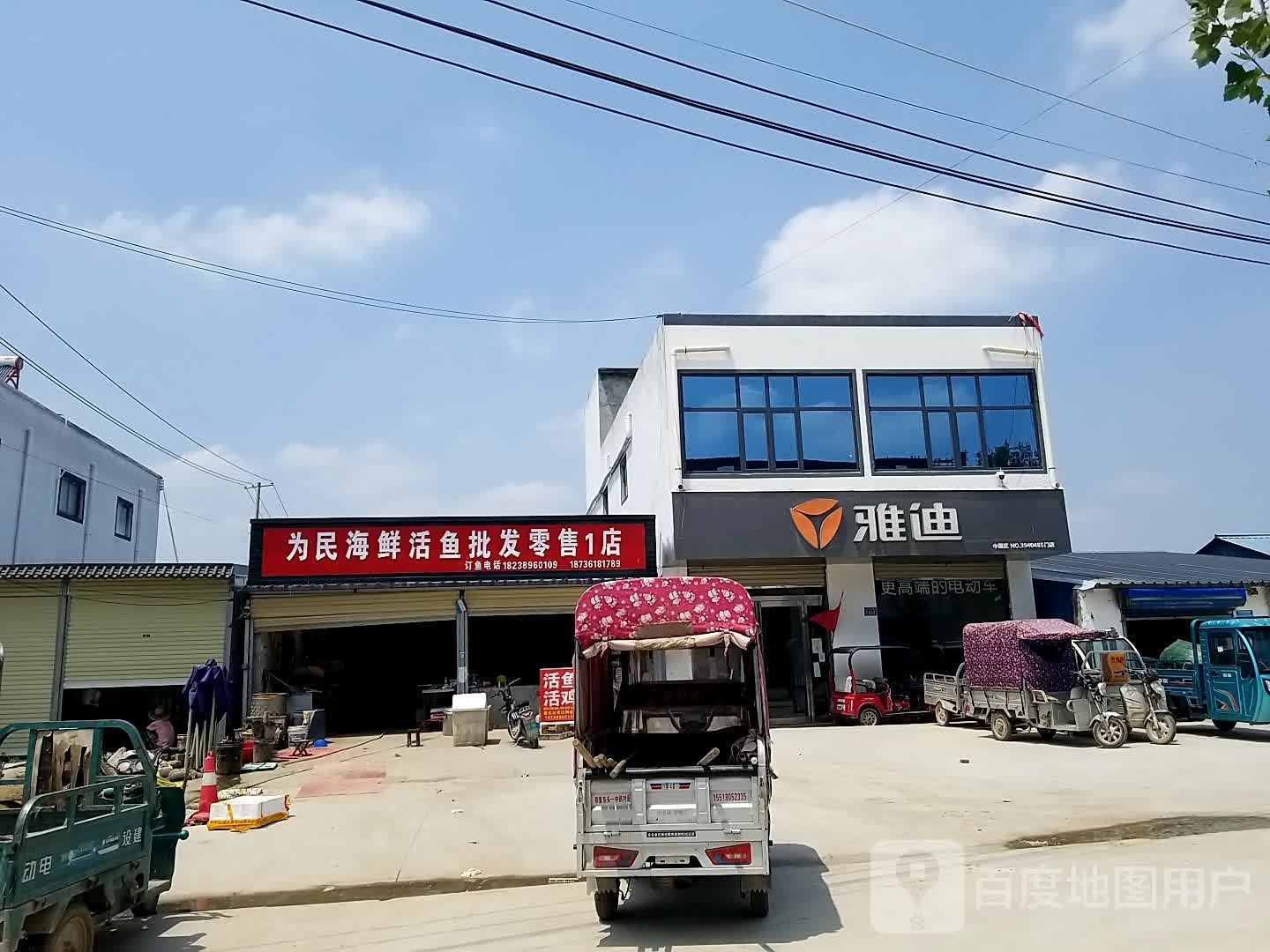 为民海鲜活鱼批发配售1店