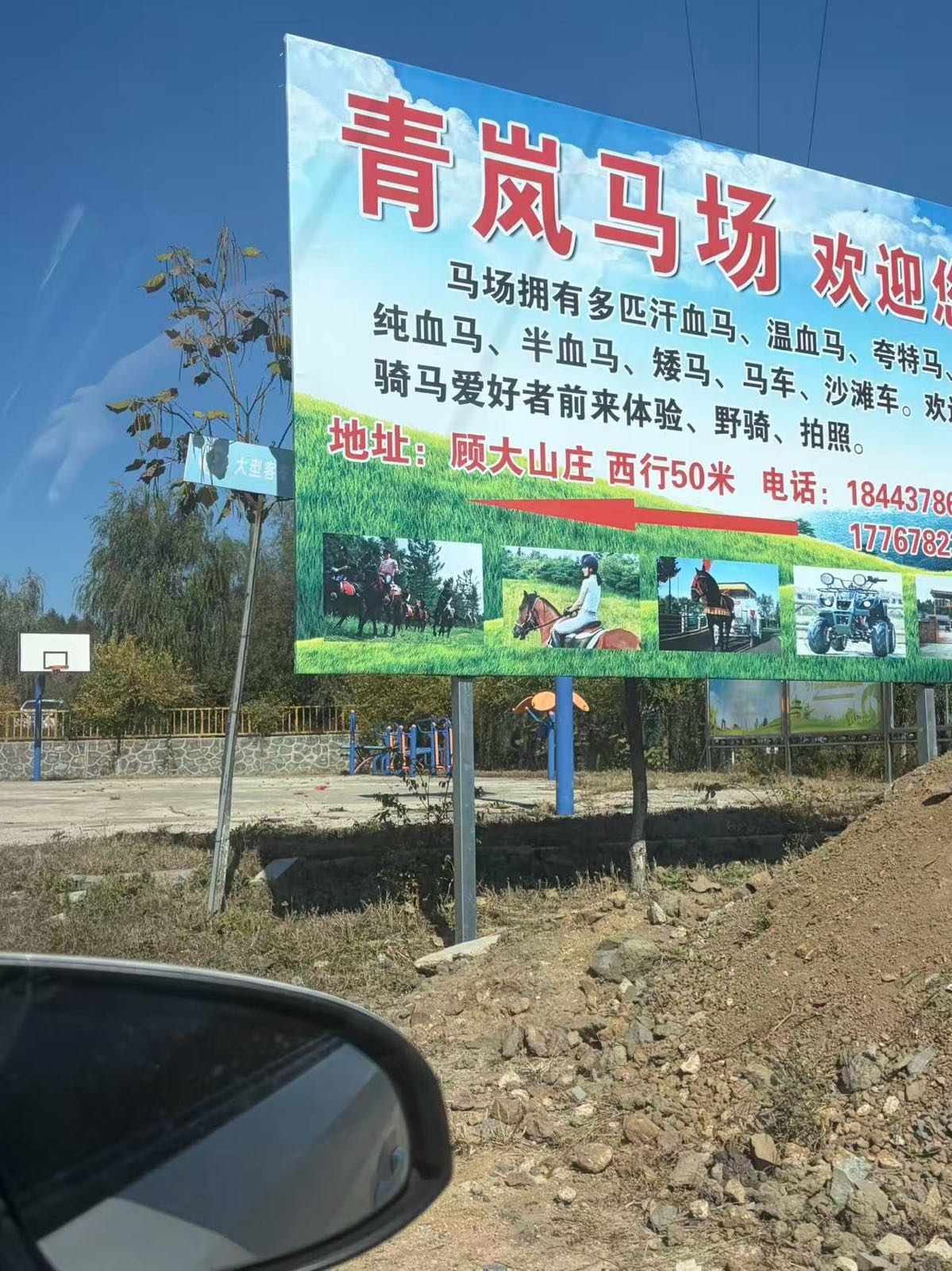 青岚马场