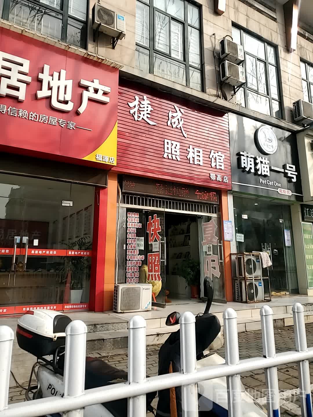 萌猫一号宠物店