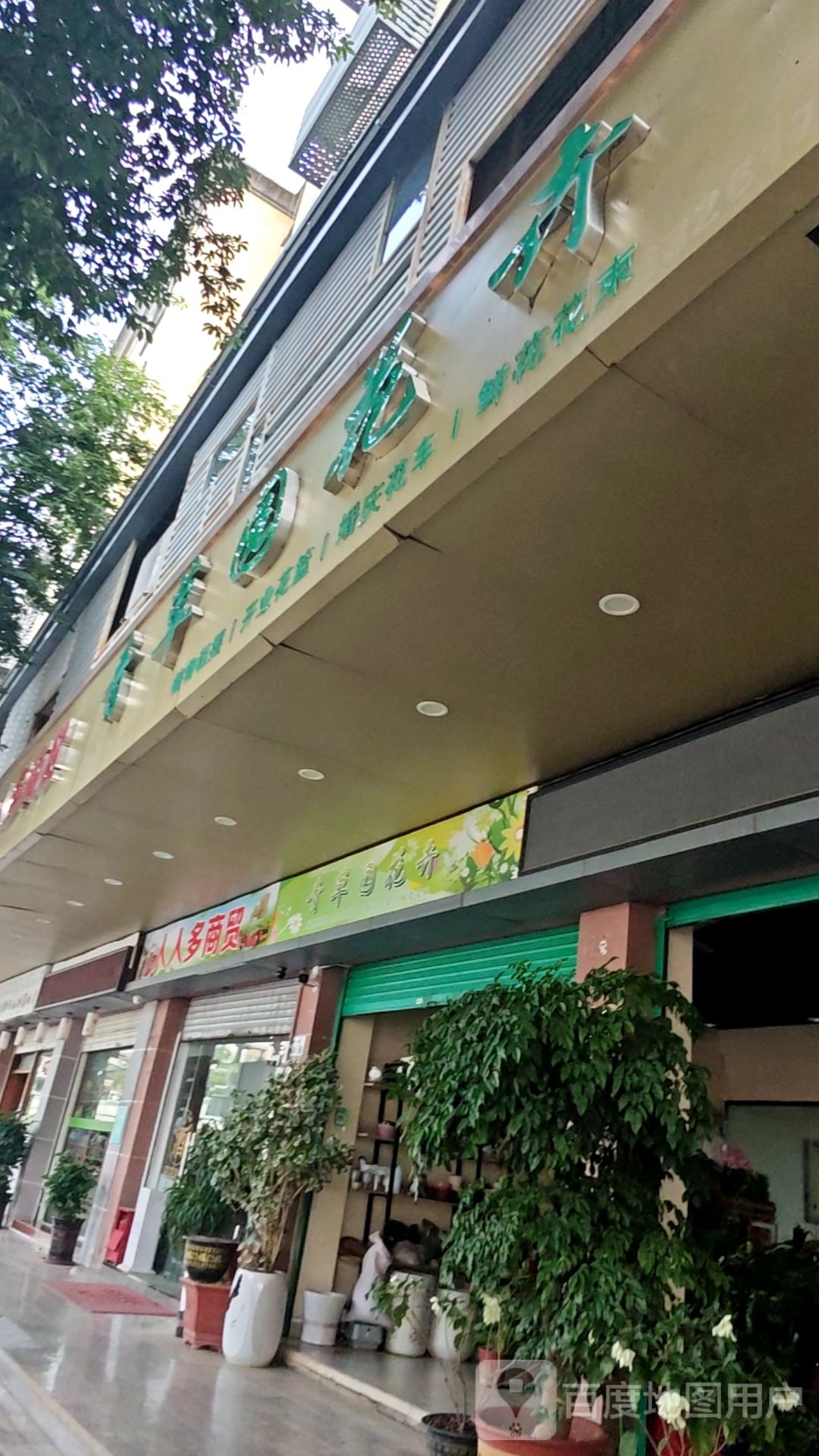 青草园花卉(富豪花园E区店)