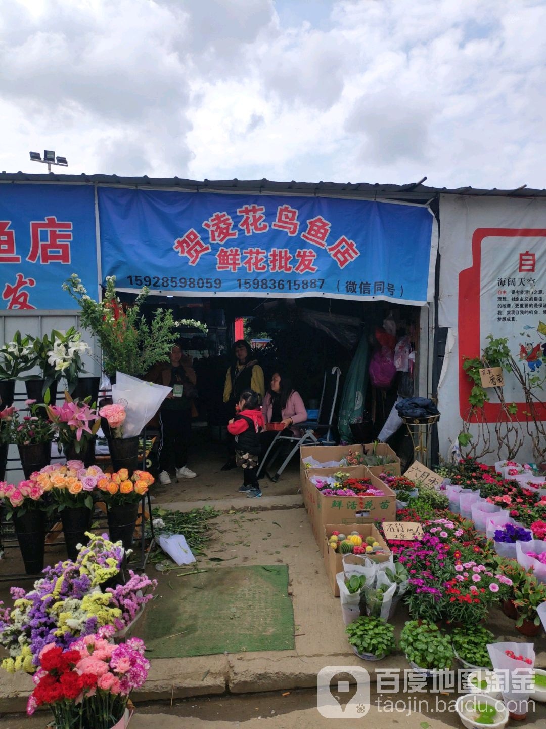 贺凌花鸟鱼店