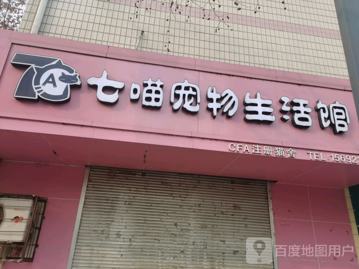 七喵宠物生活馆(CFA注册猫舍)