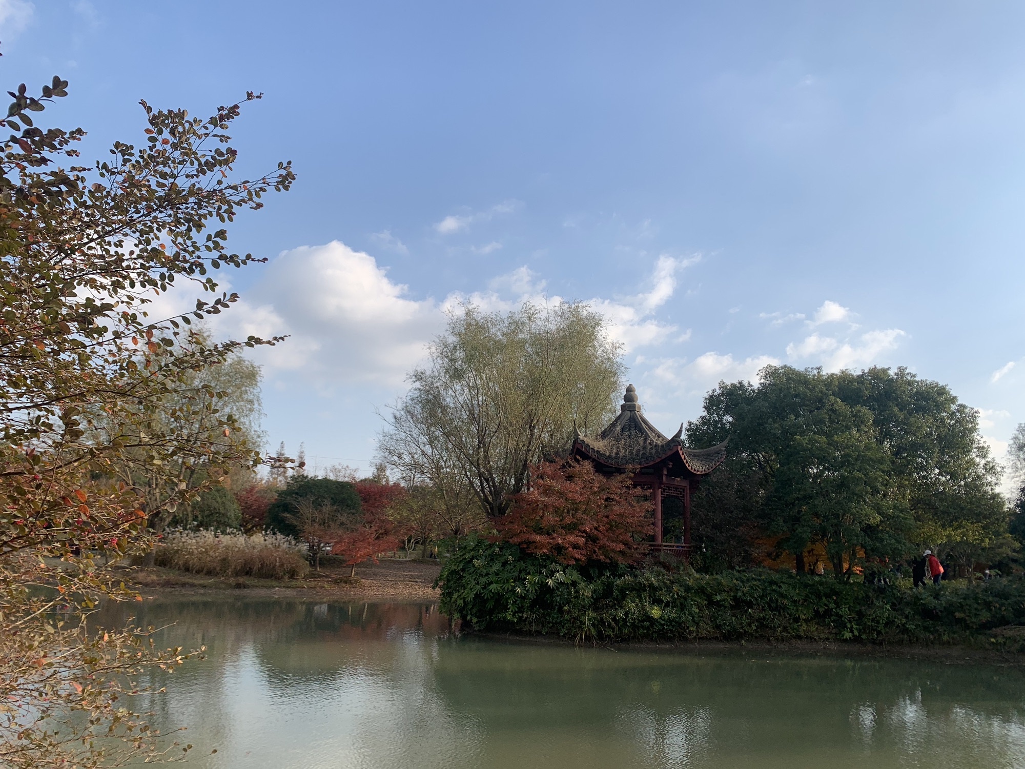 花开海上生态园