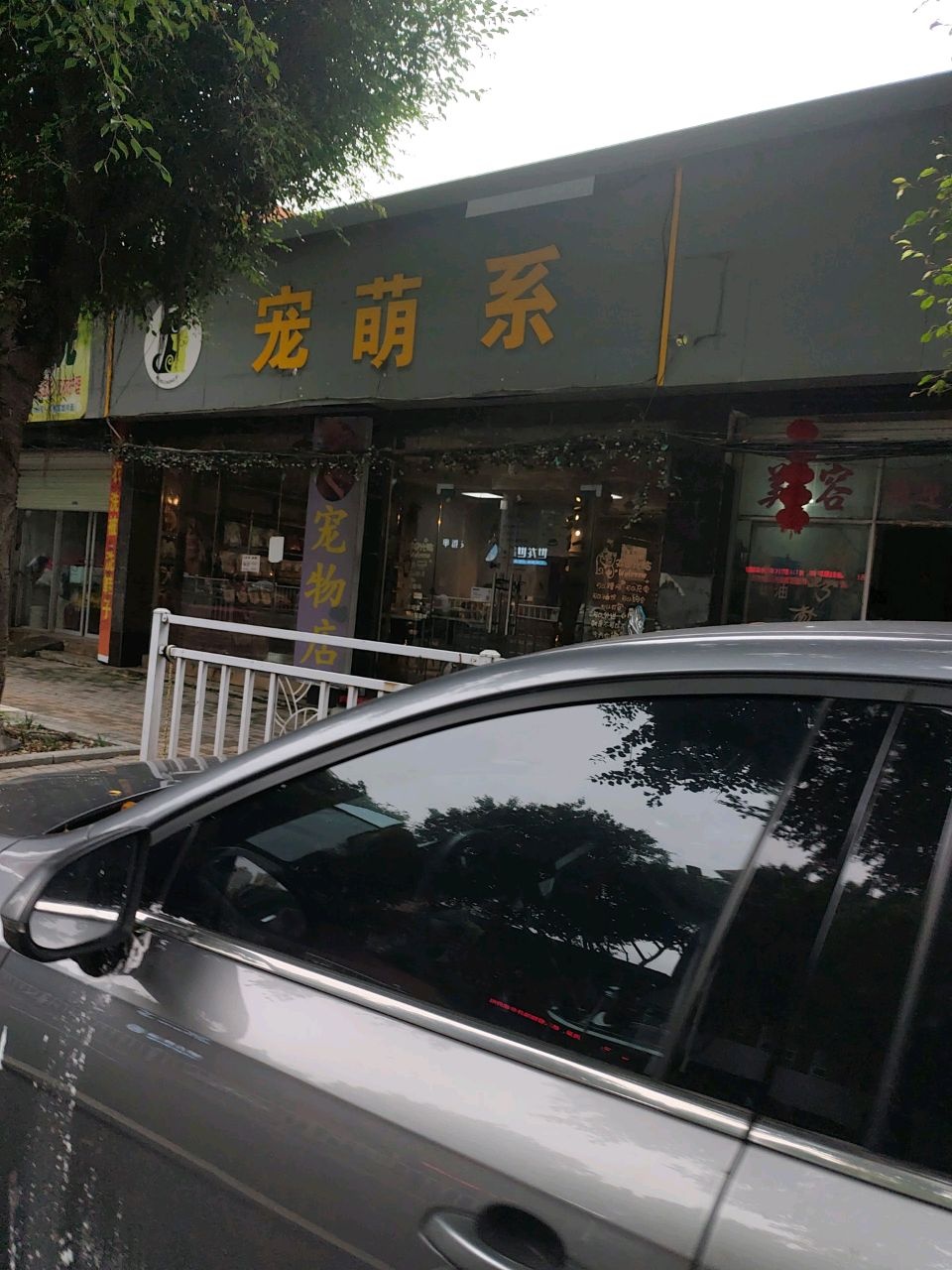 萌宠系宠物猫狗现货店超市