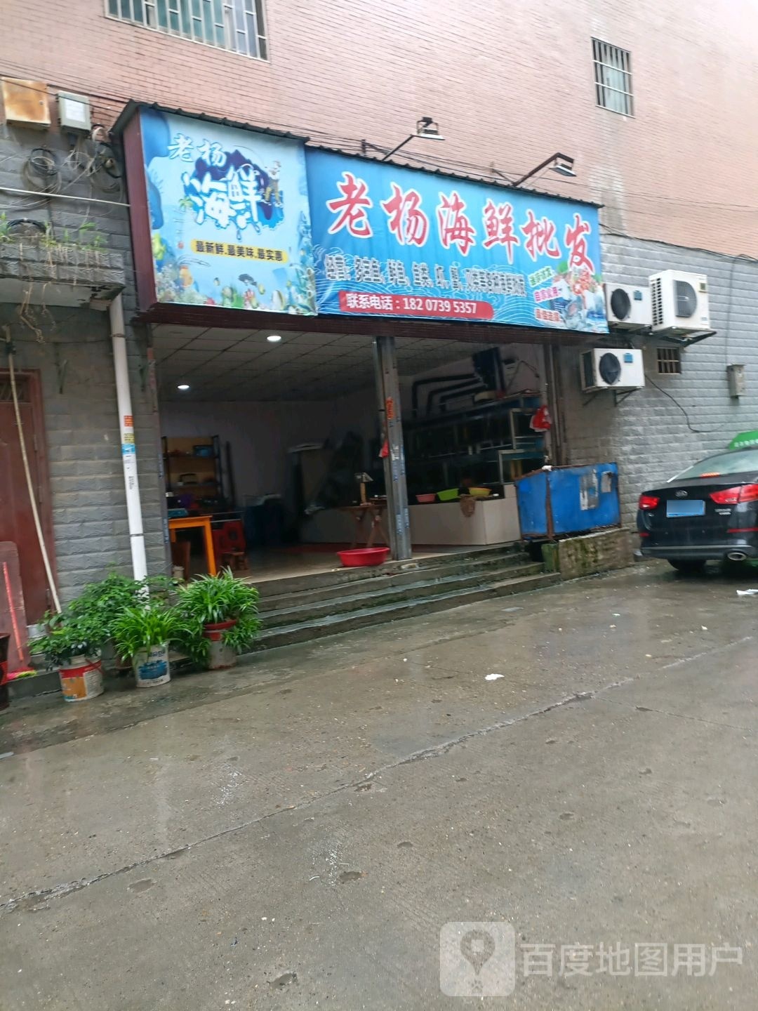 老杨海鲜批发