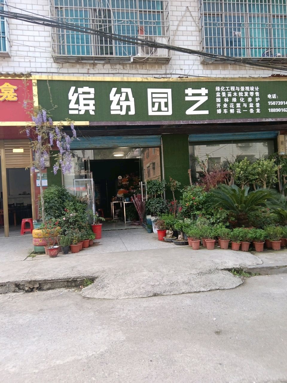 缤纷园艺