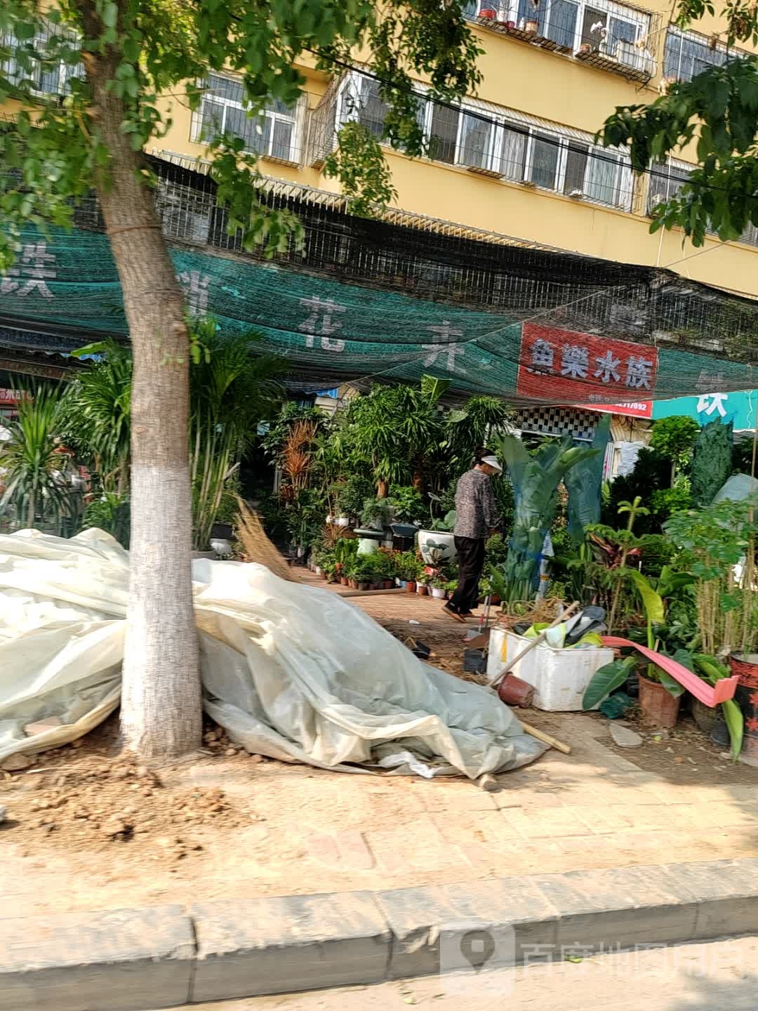 贩吼乐鱼熟水族(获麟街)