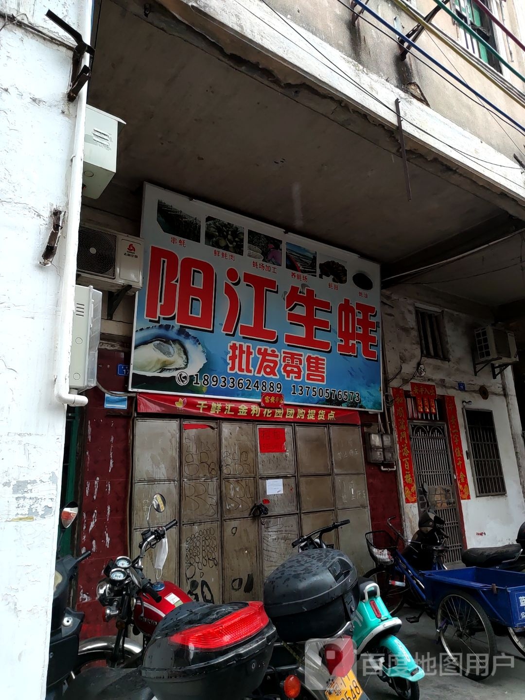 阳江精品生蚝