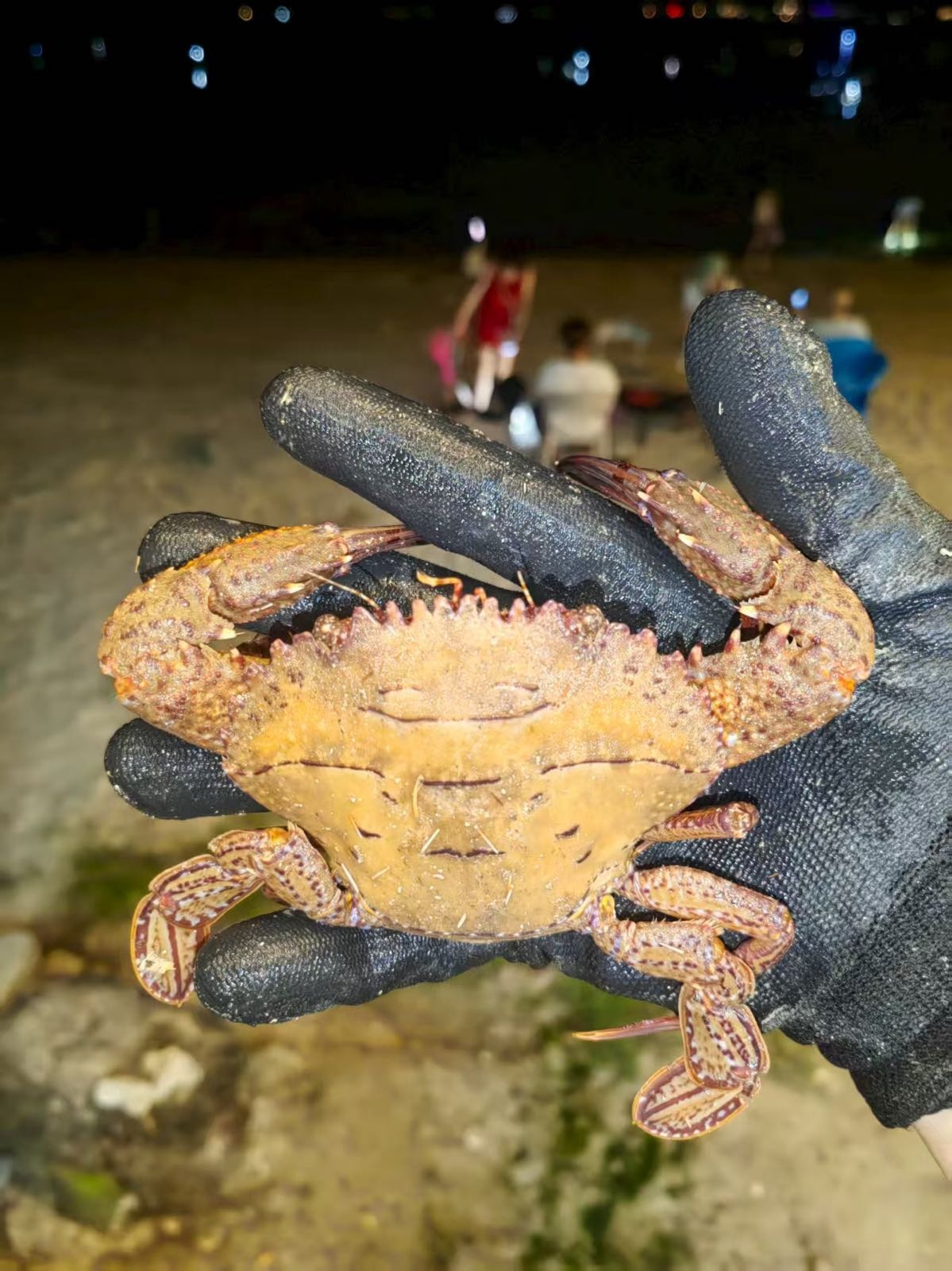 三亚水上体验赶海