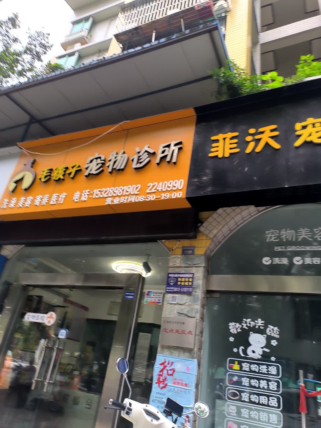 毛孩子宠物诊所