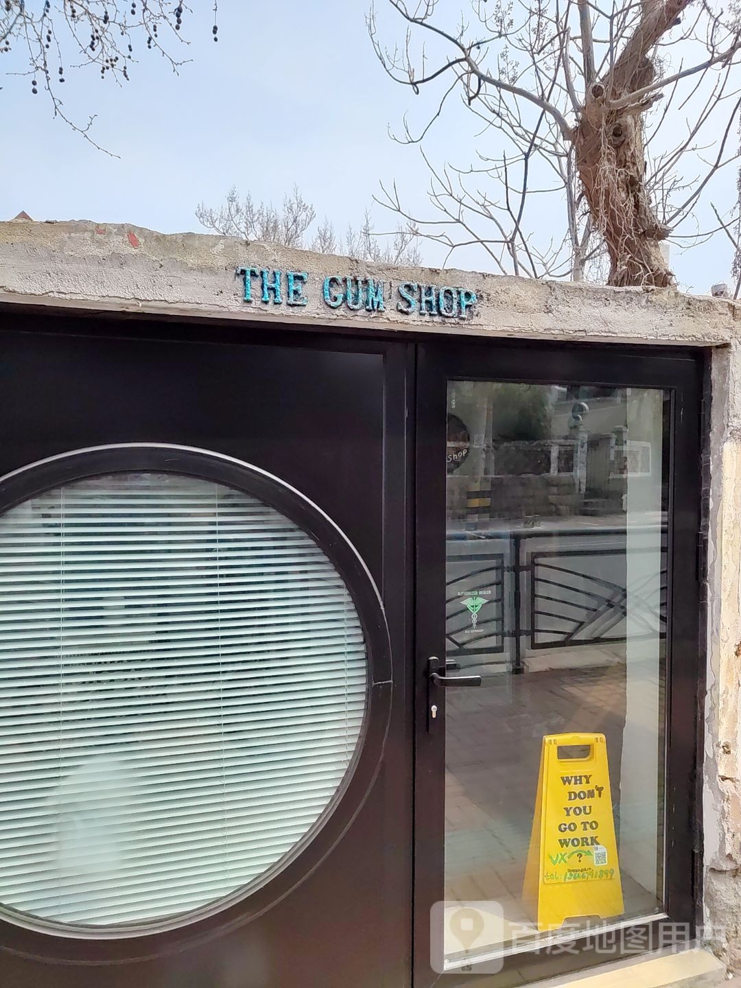 THE GUM SHOP(口香糖唱片店)