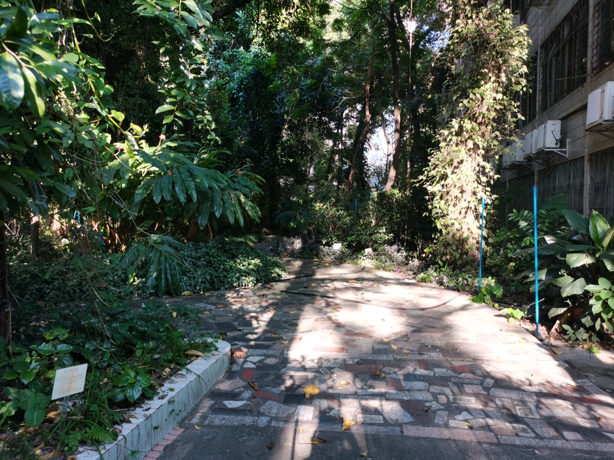 广州中中医药大学(三元里校区)-树林植物园