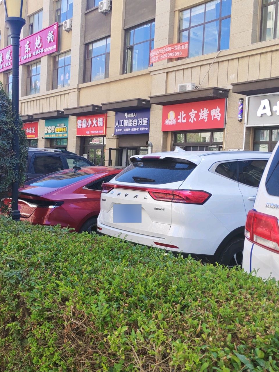 舒尔布拌面辣子鸡