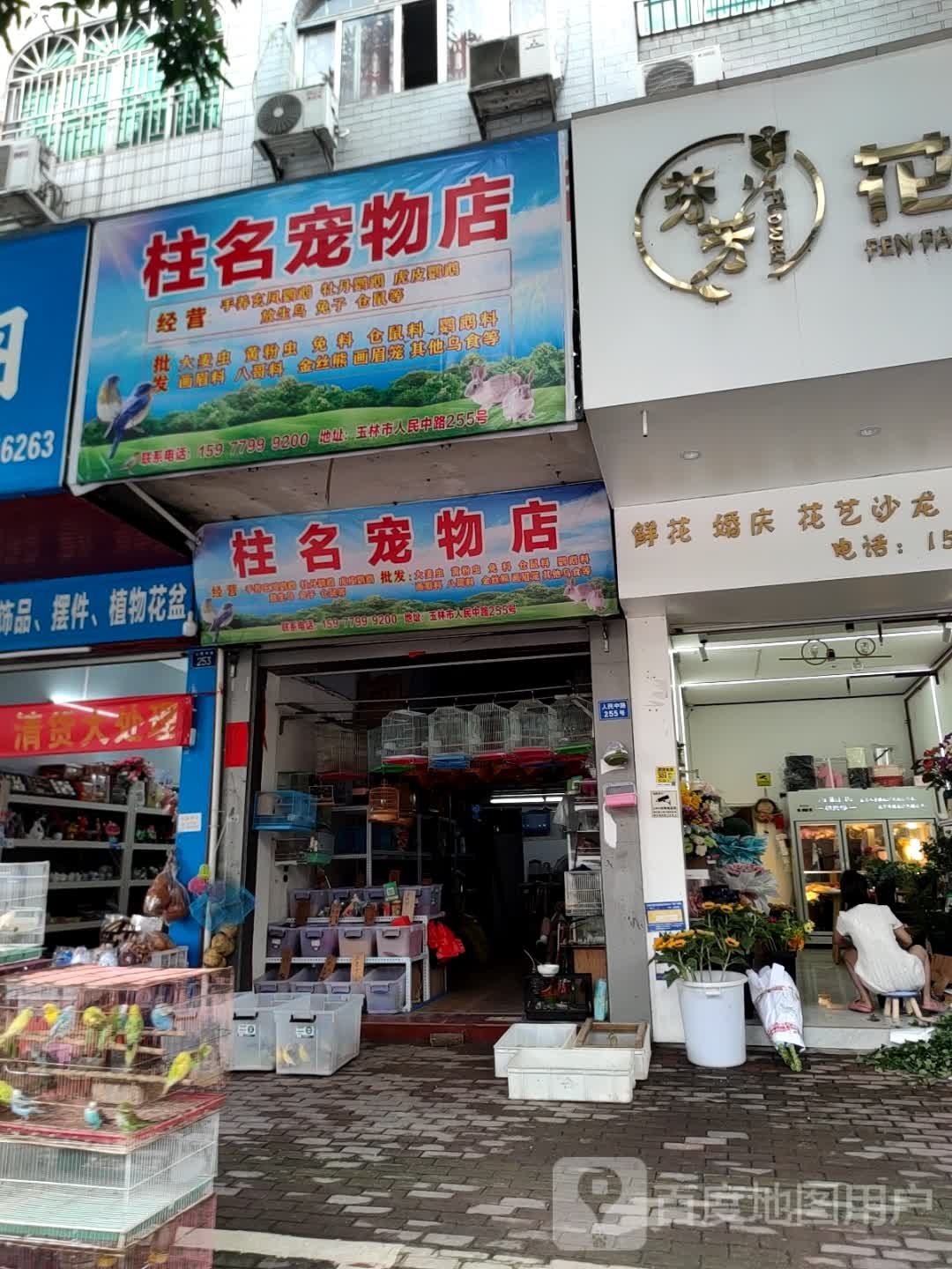 柱名宠物店