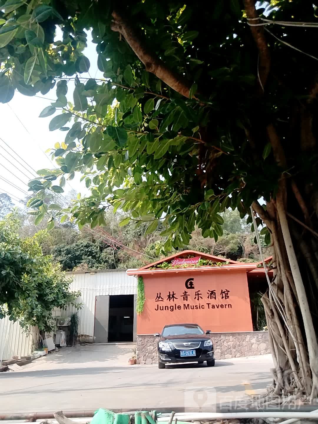 丛林音乐酒馆