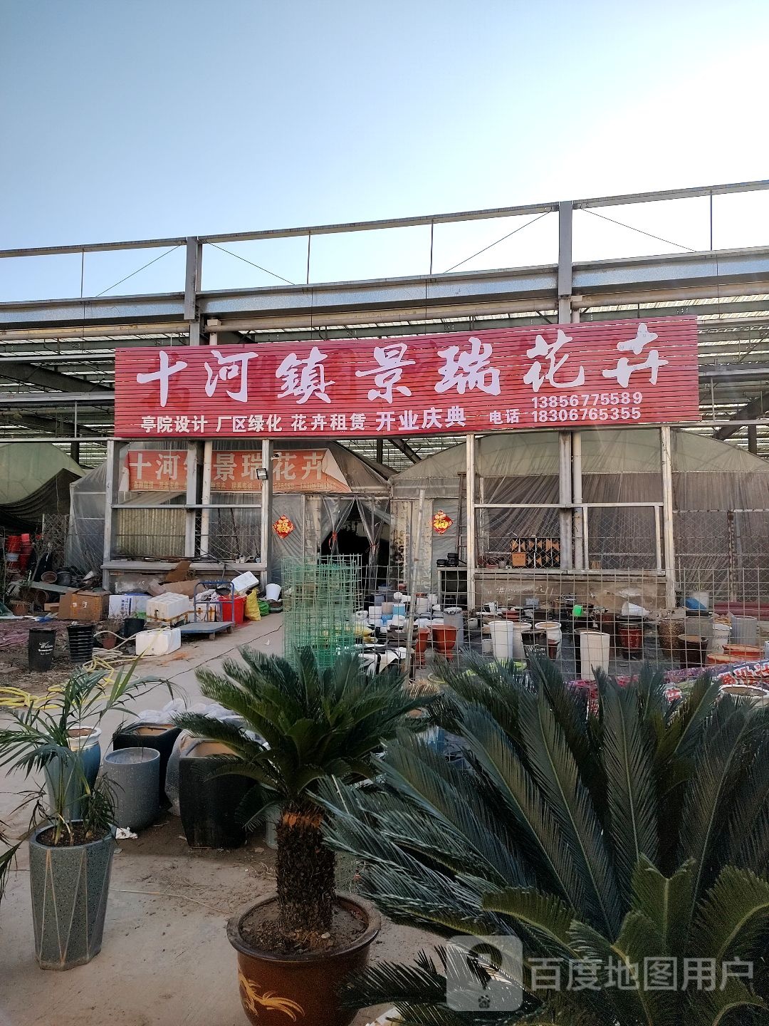 十河镇景瑞花卉