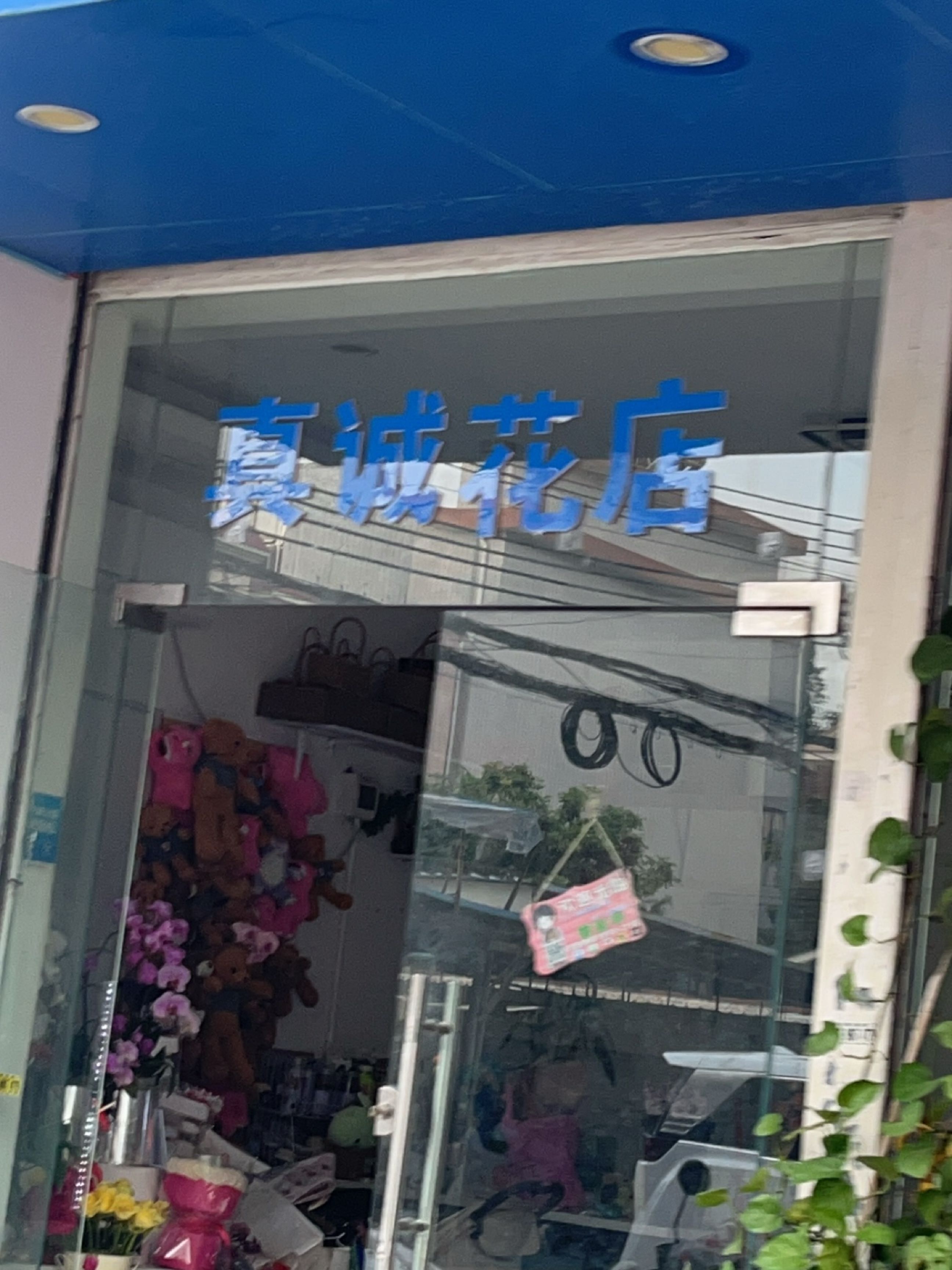 真诚花店(告白花束.向日葵.开业花篮)