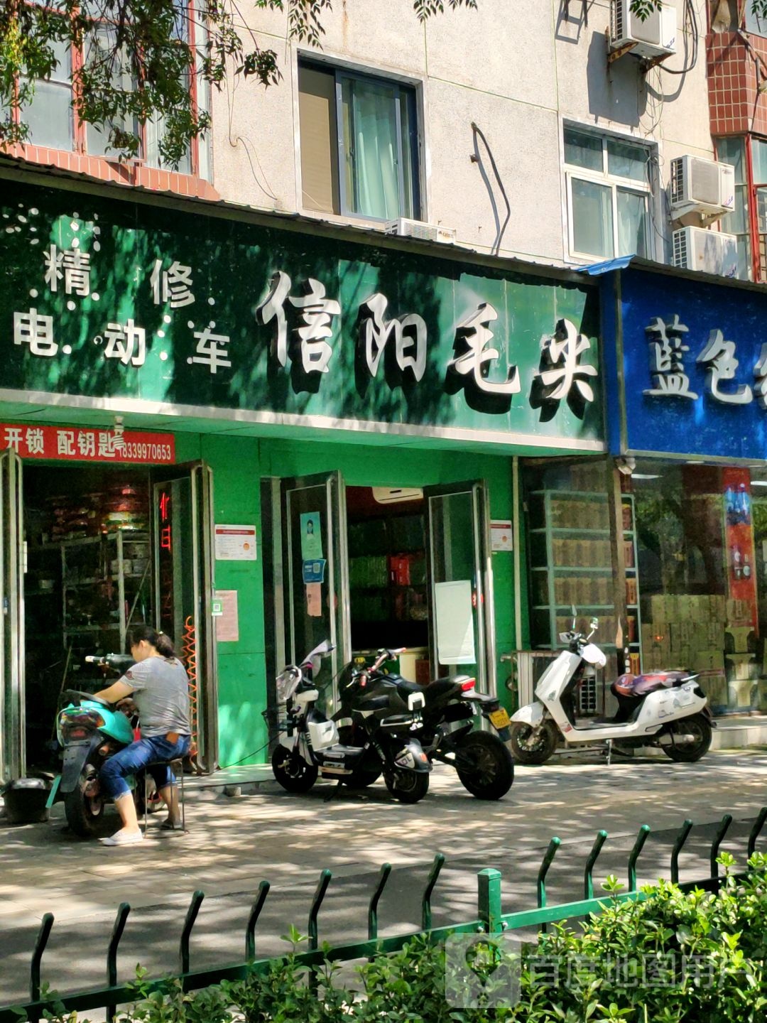 信阳毛尖(红专路店)