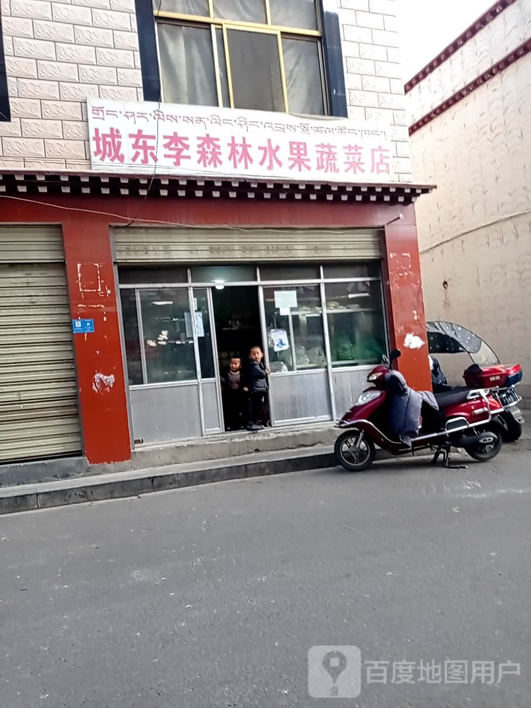 东李森林水果蔬菜店