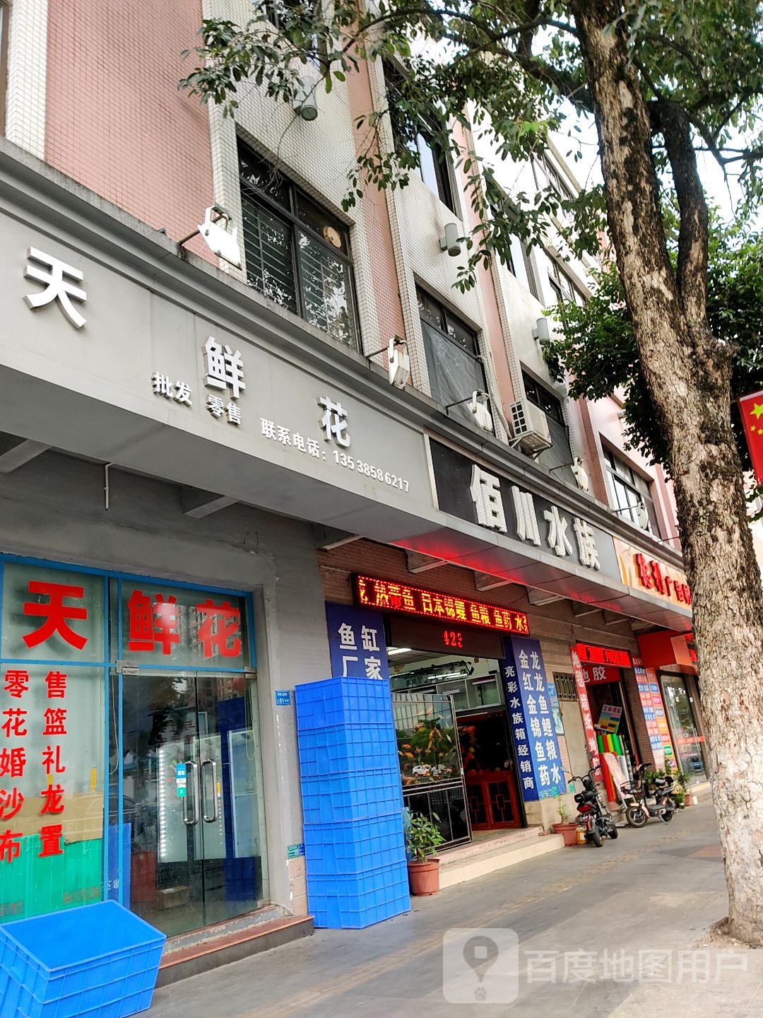 天天鲜花(厚街店)