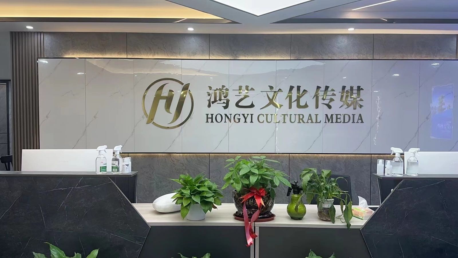 武汉市鸿艺文化传媒有限公司