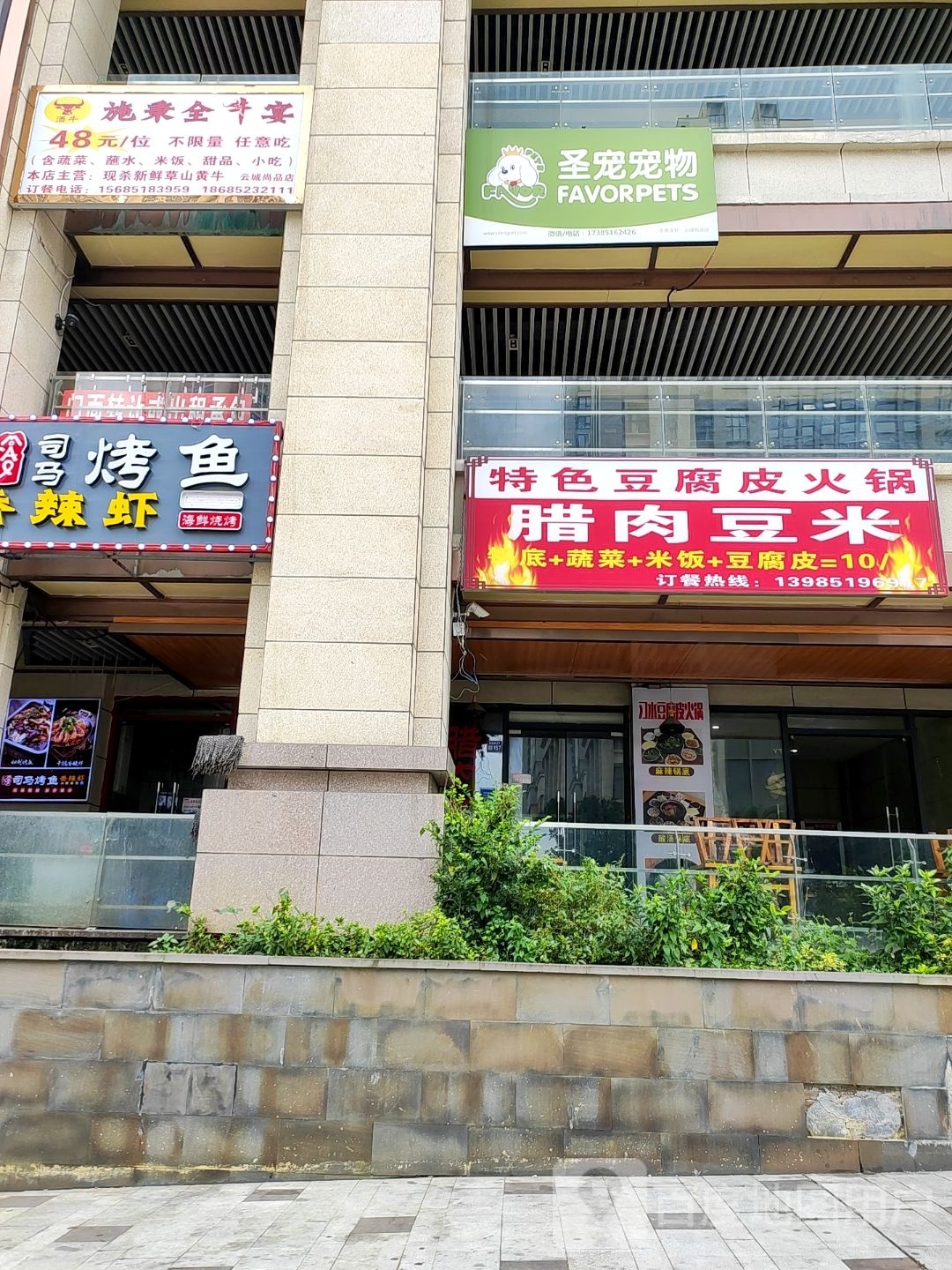 酒牛施秉全牛宴