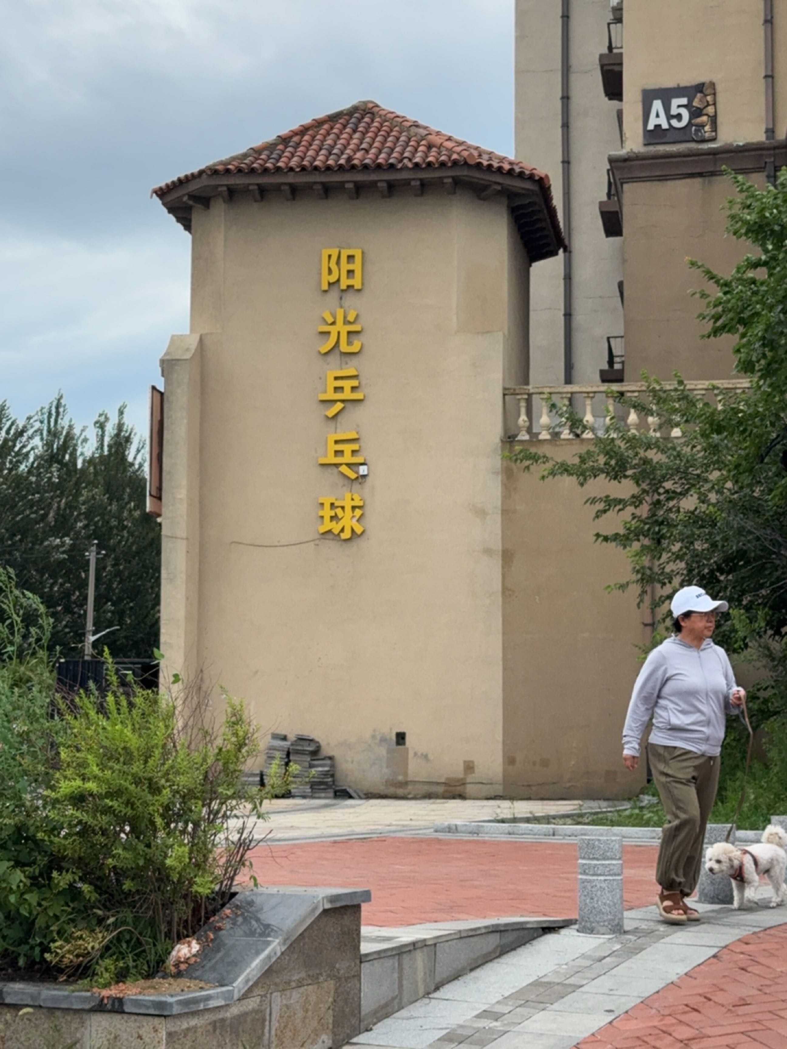 阳光乒乓球