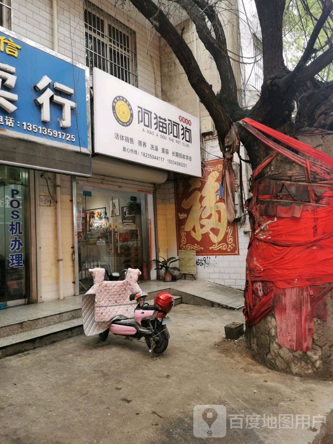 阿猫阿狗宠物会所